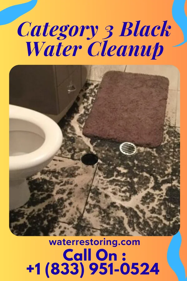 Category 3 Black Water Cleanup in West Laurel, MD