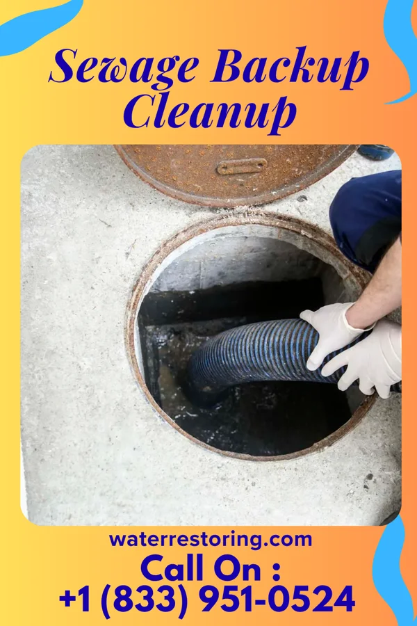 Sewage Backup Cleanup in West Laurel, MD