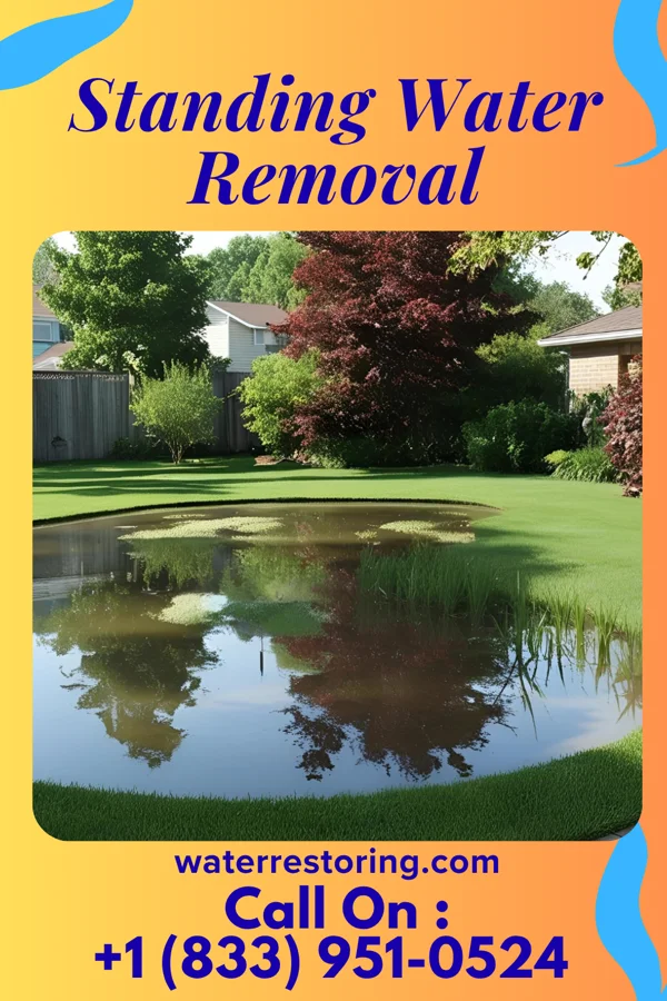 Standing Water Removal in West Laurel, MD